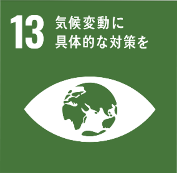 sdgs 13