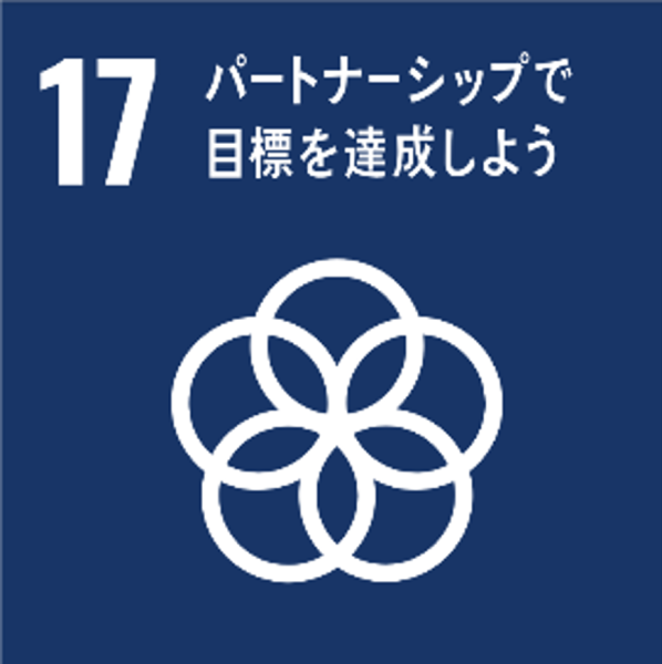 sdgs 17