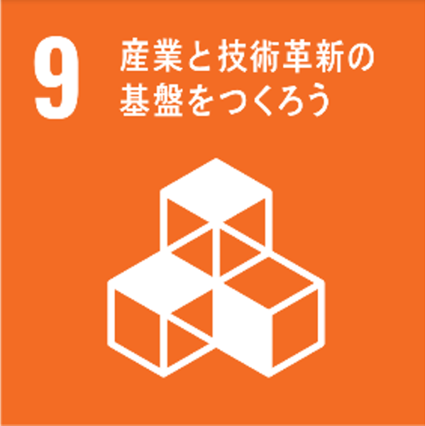 sdgs 9